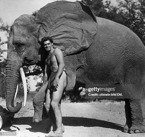 Weissmueller, Johnny - Actor, Athlete, USA - *-+ Scene from the movie 'Tarzan the Ape Man'' Directed by: W.S. Van Dyke USA 1932 Produced by:...