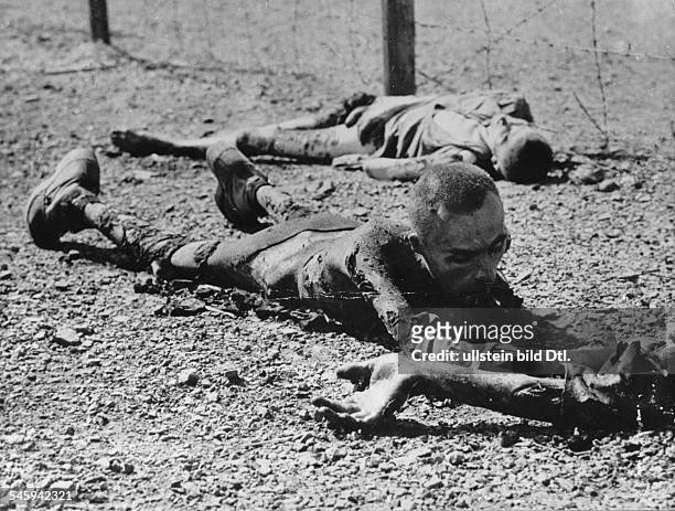 Concentration camp victims in a concentration campnear Leipzig:Before the SS abondoned this camp,the inmates were shot, resp. Gassed andthe barracks...
