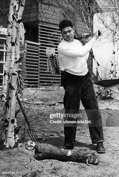 Louis, Joe *13.05..1981+'Der braune Bomber'Boxer, USAWeltmeister im Schwergewicht von 1937-1949- Ganzkoerperaufnahme, beim Holzhacken in seinem...