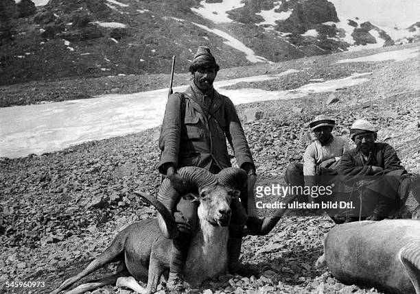 Roosevelt Theodore, sons: James Simpson Roosevelt Field Museum Expedition to Central Asia : Native expedition helper wiht an Argali shot by Kermit R....