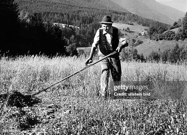 Italien - Bergbauer in Südtirol beim Mähen- 1991