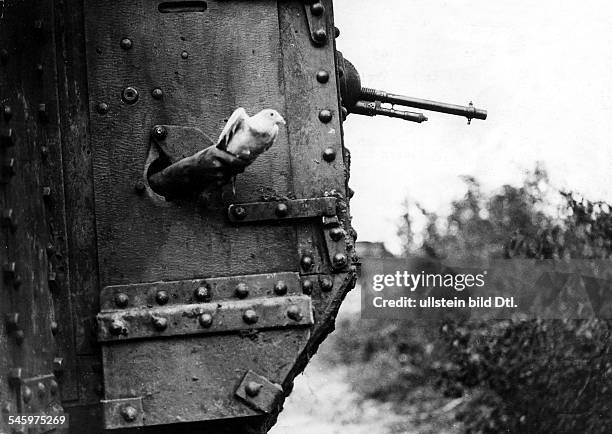 Carrier pigeon is setting out from a British tank- no further informationsummer 1918