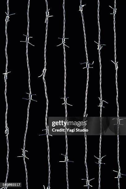 barbed wire - barbed wire fence stock pictures, royalty-free photos & images