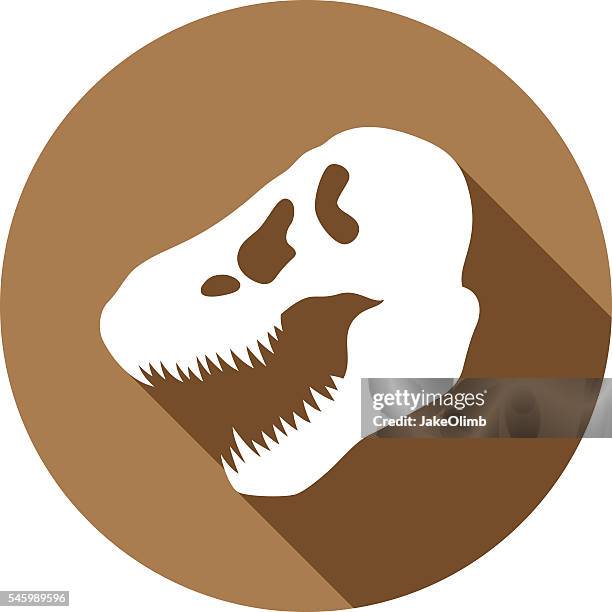 1 847点の化石イラスト素材 Getty Images 1 847点の化石イラスト素材 Getty Images