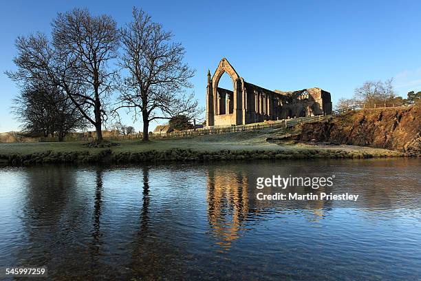bolton priory, north yorkshire - priory park stock pictures, royalty-free photos & images