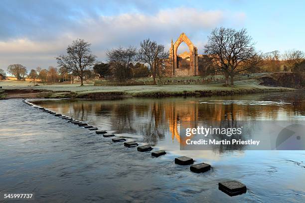 bolton priory, north yorkshire - priory park stock pictures, royalty-free photos & images