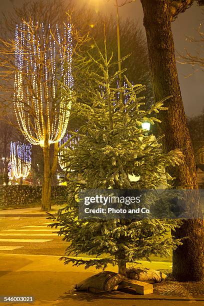 christmas tree in the street - sapin de noel imagens e fotografias de stock