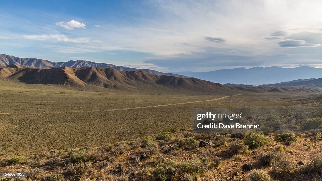 Wildrose Canyon
