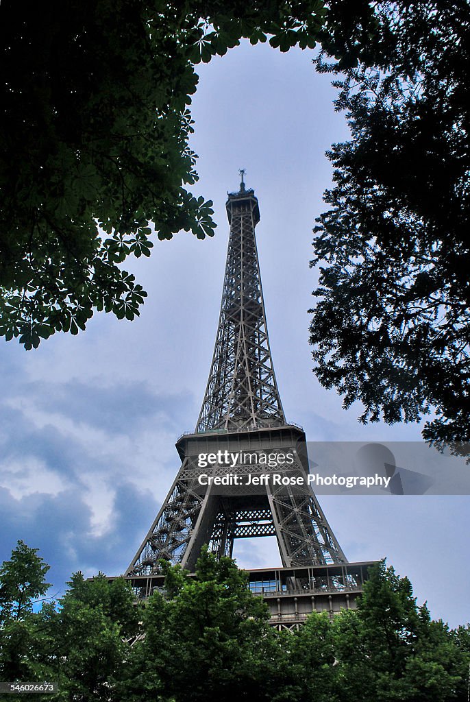 Trees frame the Eiffel Tower in Paris, France