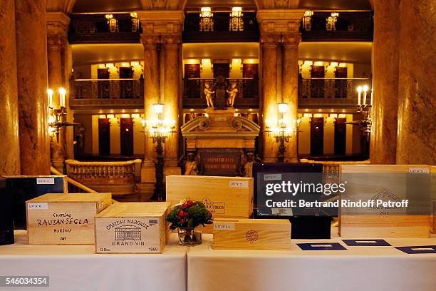 Illustration View of 'Vaincre Le Cancer' Charity Gala Night at Opera Garnier on July 10, 2016 in Paris, France.