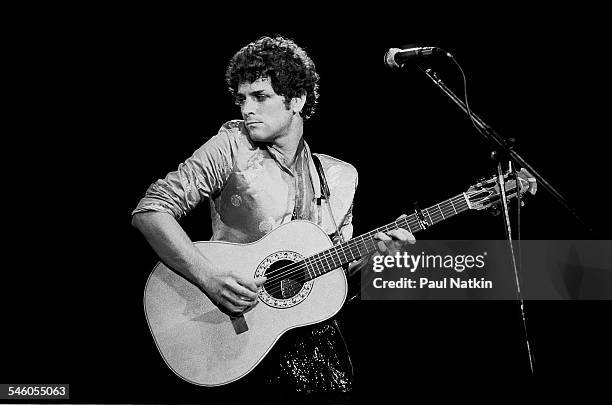 American musician Lindsey Buckingham, of the group Fleetwood Mac, performs onstage at the Alpine Valley Music Theater, East Troy, Wisconsin, July 19,...