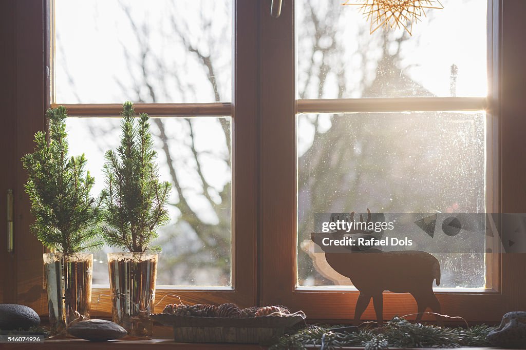 Wintertime, Heilbronn, Germany