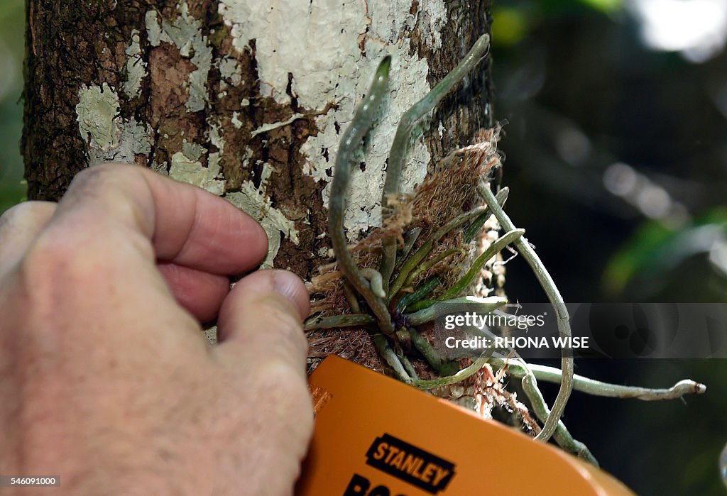 US-ENVIRONMENT-ORCHID