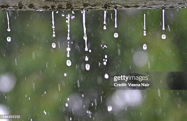 rain with bokeh-monsoon-nature - gujarat stock pictures, royalty-free photos & images