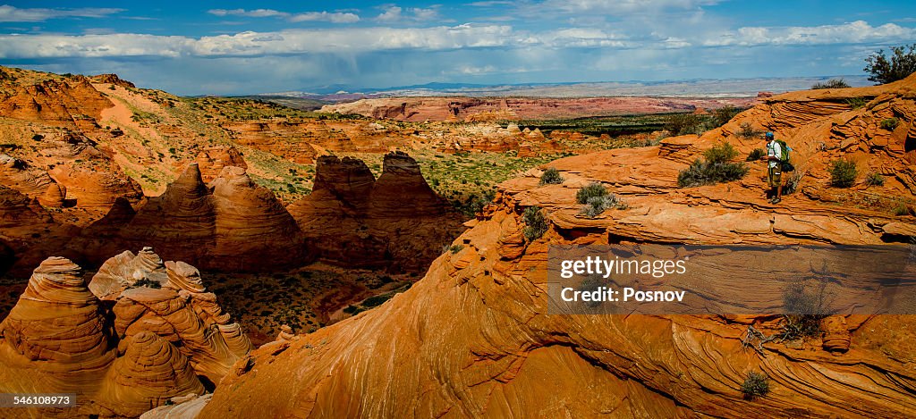 Vermilion Cliffs wilderness