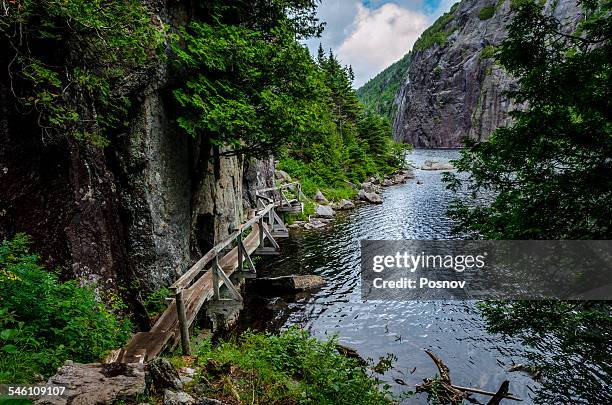 avalanche lake trail - 阿迪朗達克州立公園 個照片及圖片檔