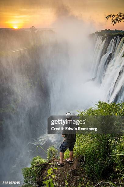 tourist gazing at victoria falls - victoria falls foto e immagini stock