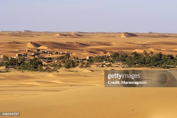 oasis near the town - mauritania fotografías e imágenes de stock