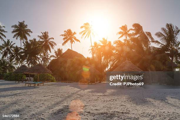 sunset at low tide with resort in background - zanzibar - pemba island stockfoto's en -beelden