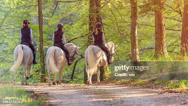 friends horseback riding through forest - riding animals stock pictures, royalty-free photos & images