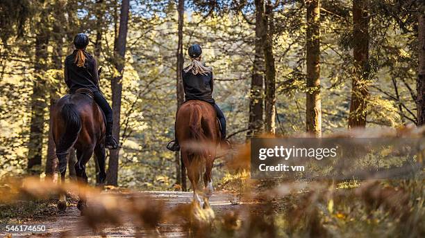 two young women enjoying horseback riding - riding animals stock pictures, royalty-free photos & images