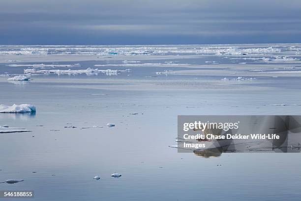 melting horizons - nordpol stock-fotos und bilder