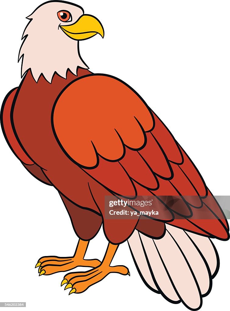 Pájaros De Dibujos Animados Para Niños Águila Lindas Sonrisas De Águila Ilustración de stock - Getty Images Pájaros De Dibujos Animados Para Niños Águila Lindas Sonrisas De Águila Ilustración de stock - Getty Images