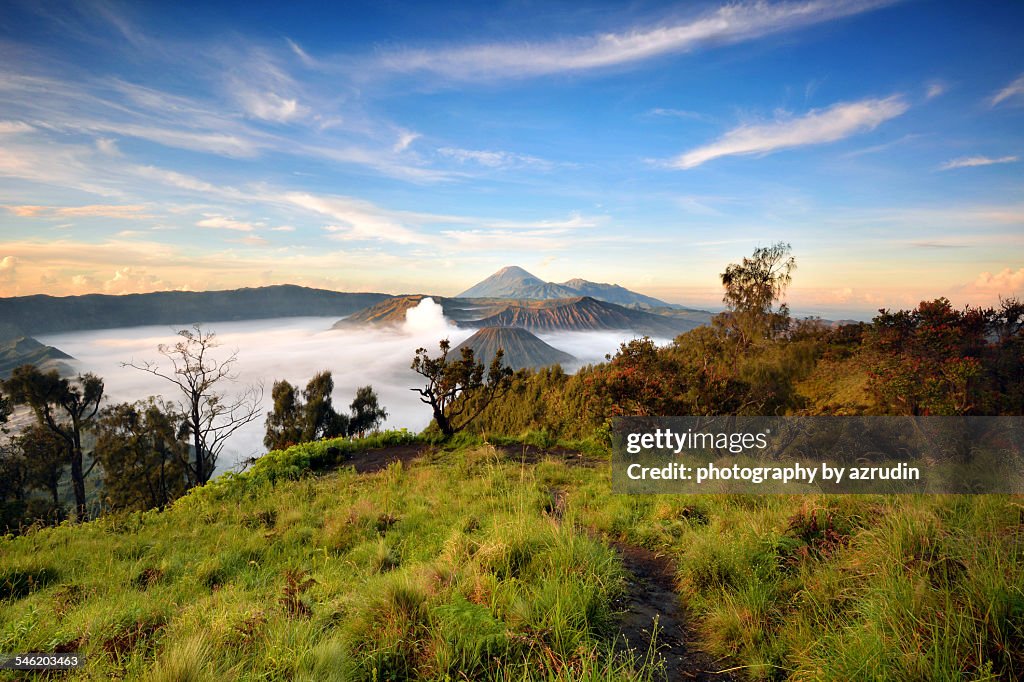 Panoramic mount Bromo from Penanjakan