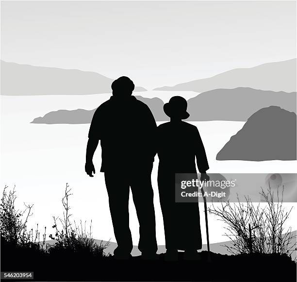 retired couple amazing view hike - mature men stock illustrations