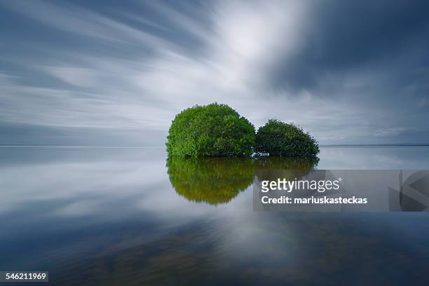 uk, northern ireland, lough neagh - northern ireland stock pictures, royalty-free photos & images