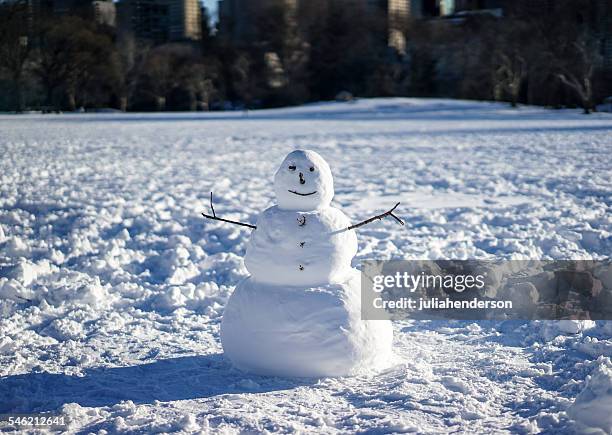 snowman in field - snowman stock pictures, royalty-free photos & images