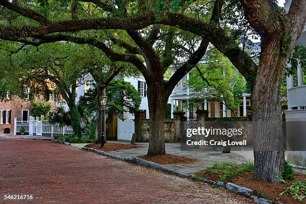 southern mansions in the old historical section of charleston, south carolina - boulevard foto e immagini stock