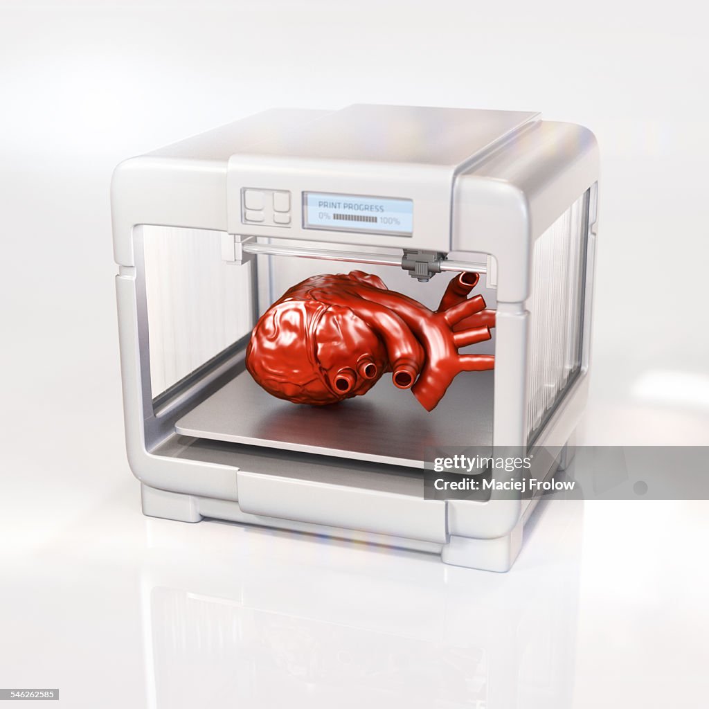 Human heart made with a 3D printer