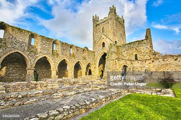 jerpoint abbey, ireland - kilkenny ireland stock pictures, royalty-free photos & images