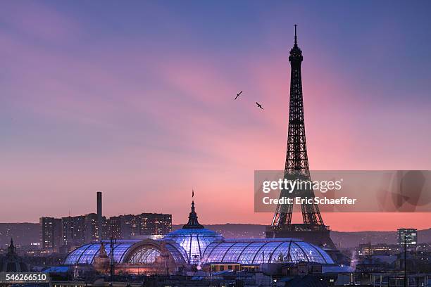 eiffel tower at sunset - eiffeltoren stockfoto's en -beelden