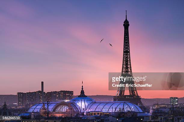 eiffel tower at sunset - paris france at night stock pictures, royalty-free photos & images
