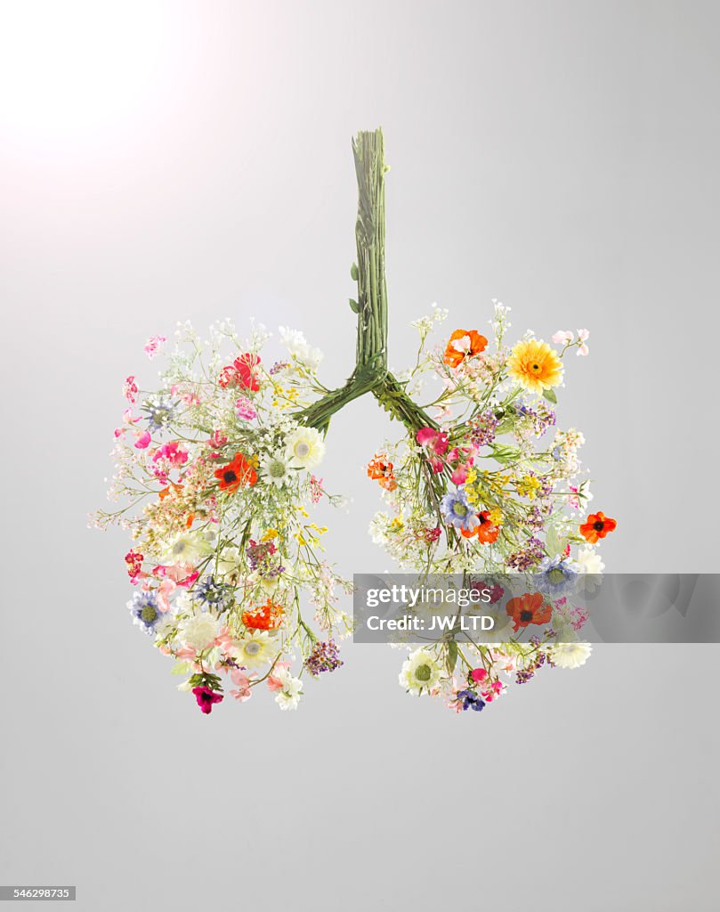 Lungs made from flowers