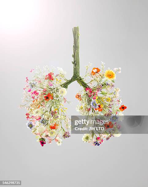 lungs made from flowers - inhaling stockfoto's en -beelden