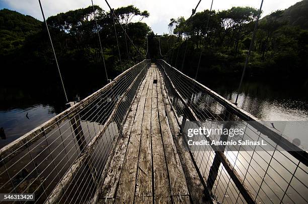 wooden bridge on the chiloe island. chile - castro chiloé island stock pictures, royalty-free photos & images