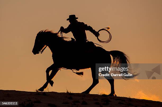 cowboy & horse sunset silhouette - cow boy stock-fotos und bilder