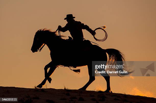 cowboy & horse sunset silhouette - cowboy sillouette foto e immagini stock