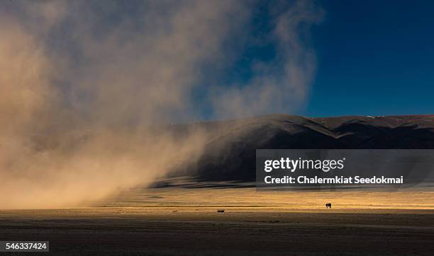 sandstorm in mongolia - sand storm stock pictures, royalty-free photos & images