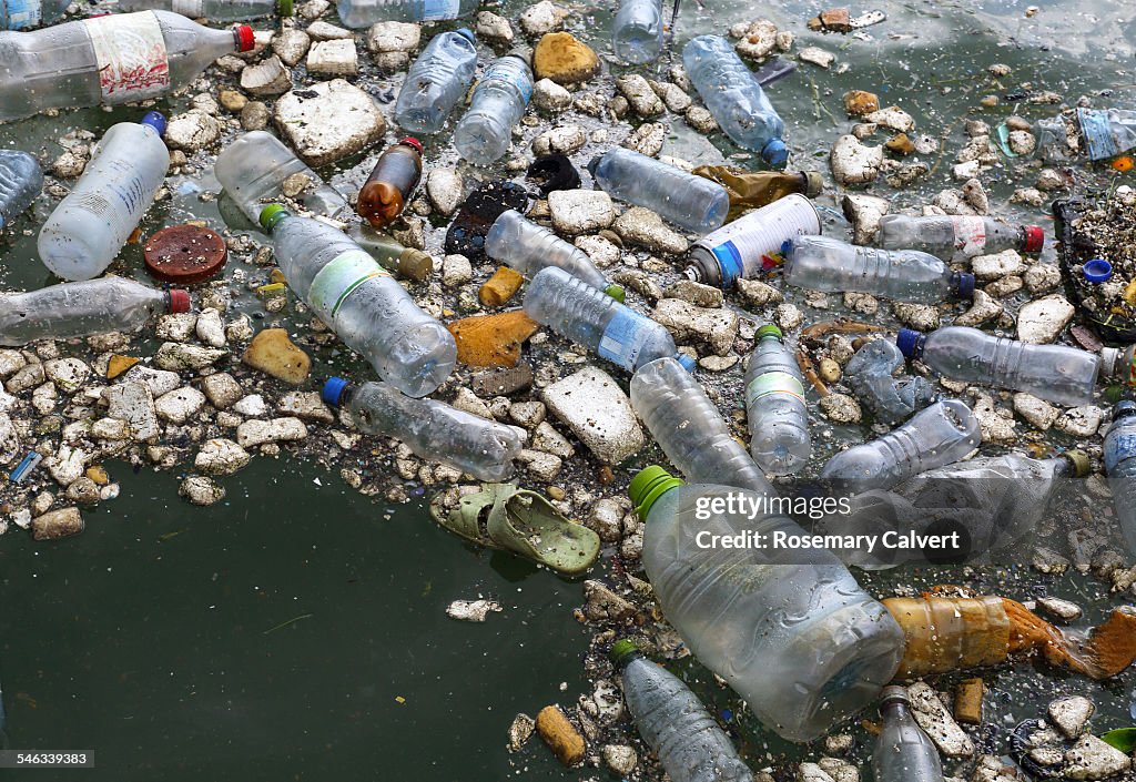 Polluted Waters