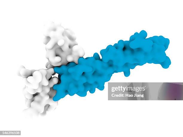 immune checkpoint: pd1 binding to pd-l1 - cytokine stock pictures, royalty-free photos & images