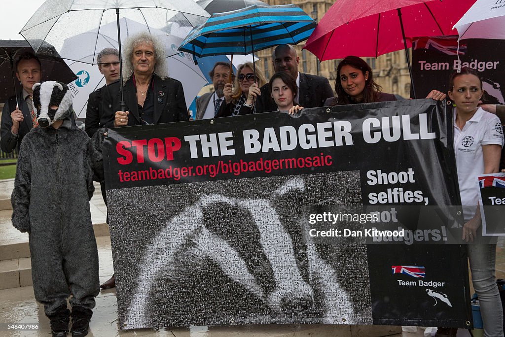 Celebrities Protest At Planned Badger Cull