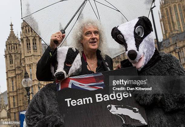 Former Queen guitarist and campaigner Brian May poses with people dressed as Badgers during a photocall on July 12, 2016 in London, England. The...