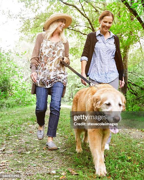 zu fuß hund - frauen hund park stock-fotos und bilder