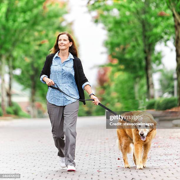 walking dog - mature adult walking dog stock pictures, royalty-free photos & images