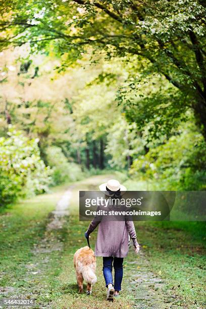 walking dog - mature adult walking dog stock pictures, royalty-free photos & images