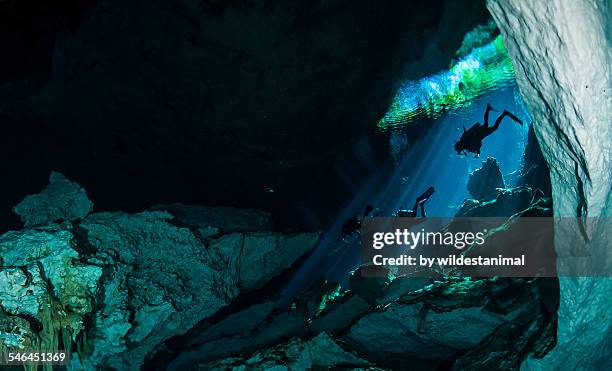 entrance - playa del carmen stock pictures, royalty-free photos & images